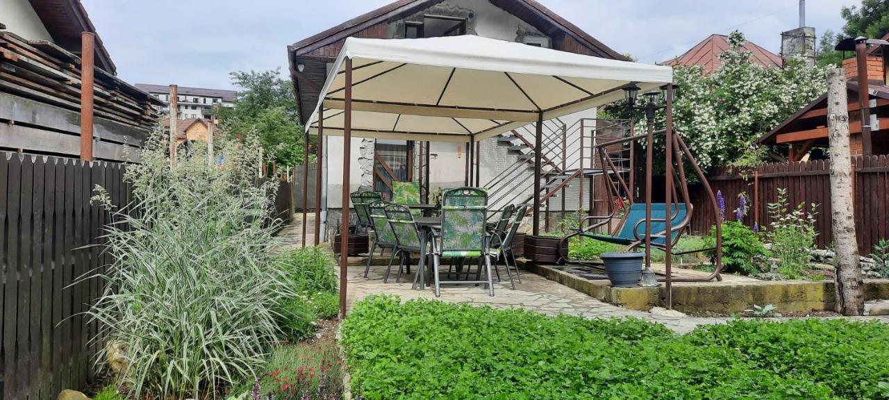 הוילה סינאיה Casa Crissio מראה חיצוני תמונה